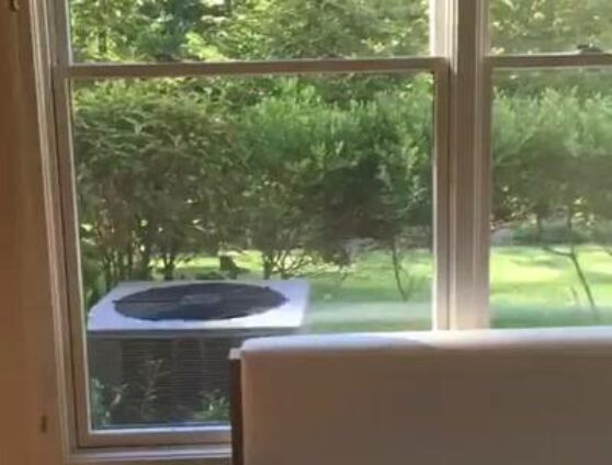 #idfblive day 15! Sometimes it takes a village… Woven Wood Roman Shades. www.windowworks-nj.com