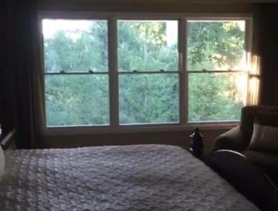 Motorized drapes and shades! #idfblive