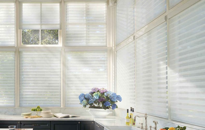 Alustra® Silhouette® Window Shadings Powerrise® 2.1 With Platinum™