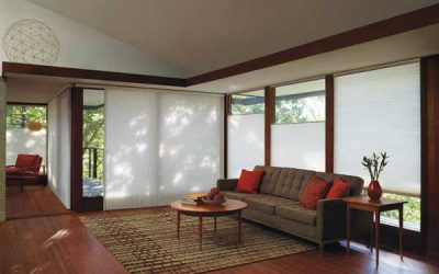 Hunter Douglas Duette Shades