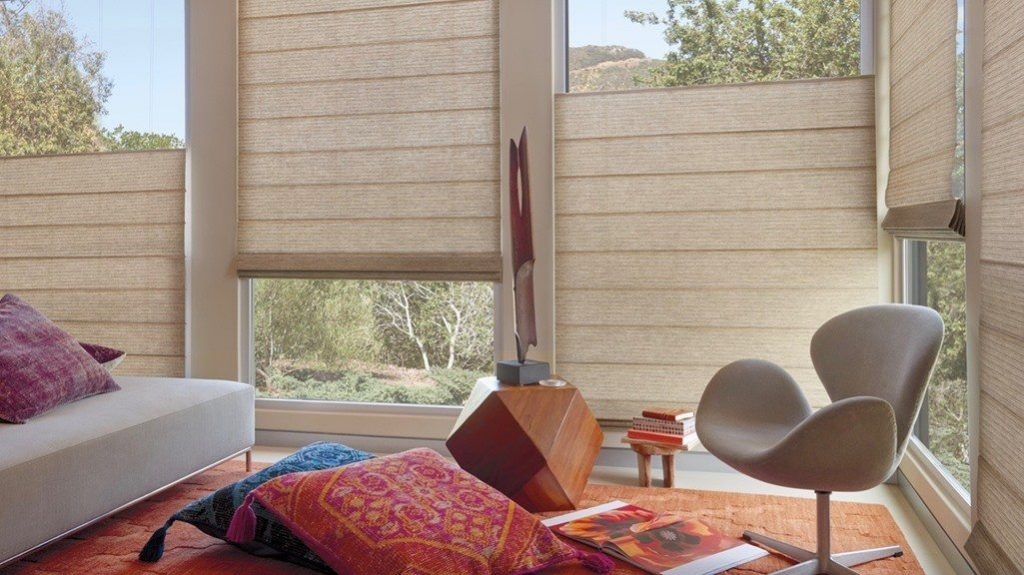 Hunter douglas deals blinds